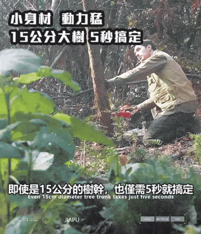 5.gif